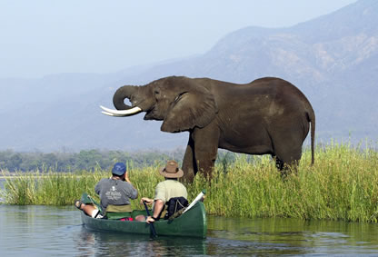 Mana Pools: Classic Zimbabwe Explorer Safari