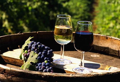 Tour of the Western Cape Vinyards