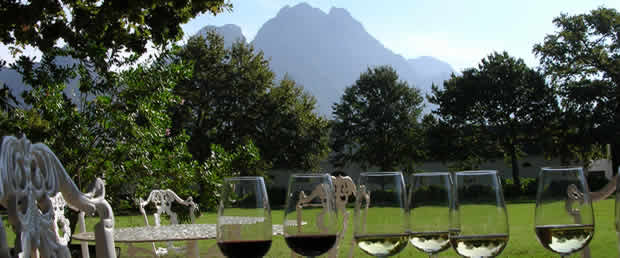 The Cape Winelands