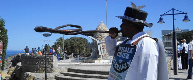 Whale Crier of Hermanus