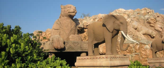 Elephants in Pilanesberg